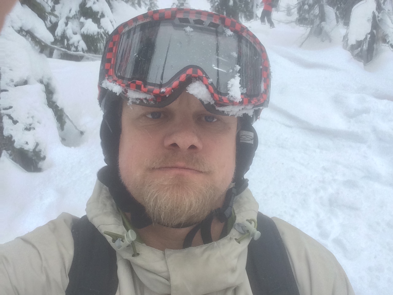 It's serious business playing in the snow.